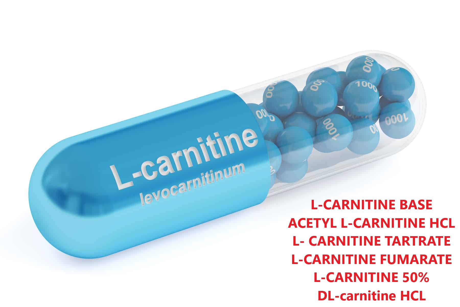 l-carnitine hcl/base L Carnitine Hcl Powder at  1500/kg | Amino Acid in Ahmedabad a pure and high Best High Potency L-Carnitine Base